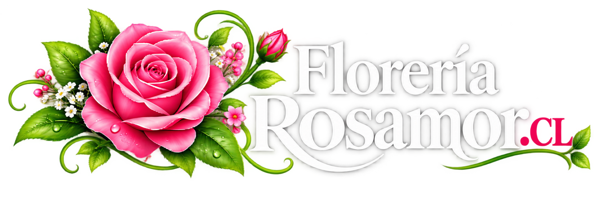 Floreria Rosamor