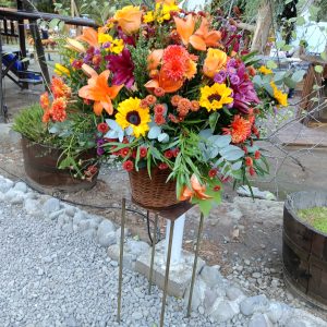 Decoración mixta Parcela DP567