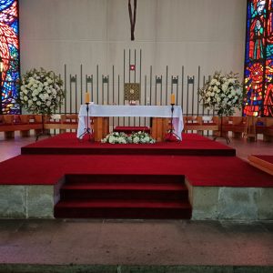 Pack Básico / Verbo Divino pack 27