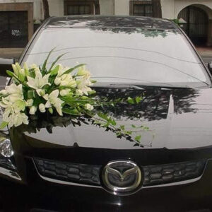 Decoración Auto Novio DA55