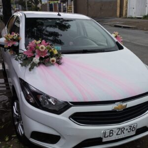 Decoración Auto Novios DAN77