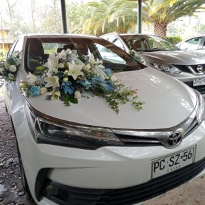 AUTO NOVIOS AU1