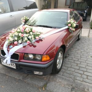 AUTO NOVIOS AU567