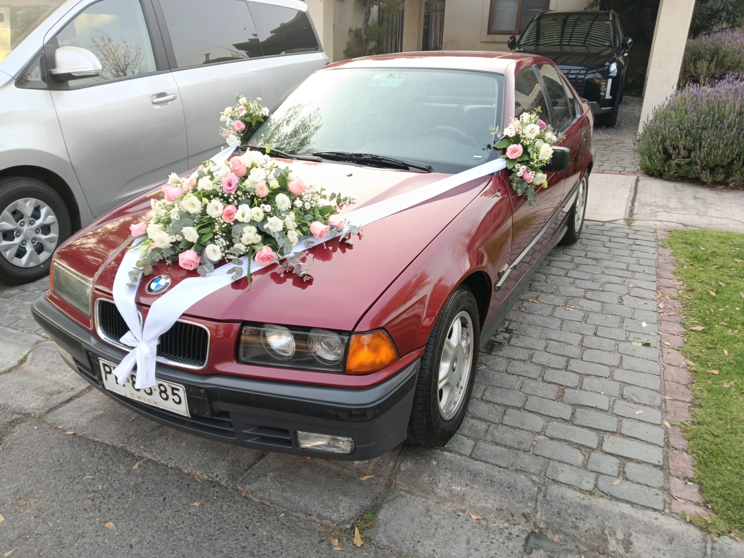 AUTO NOVIOS AU567