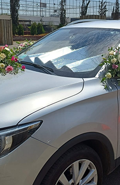 Decoración de auto